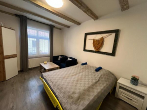 Historical apartments V18